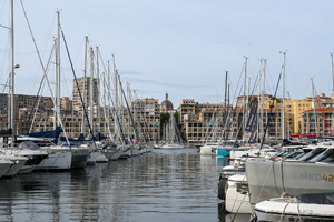 Lutte contre les nuisibles Marseille